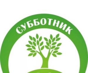субботник 29 апреля 2017